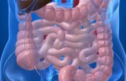 اضطراب بكتيريا الأمعاء يسبب الالتهابات المعوية والربو والبدانة