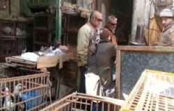 "بيطرى" بورسعيد تطلق حملة توعية لبائعى ومشترى الطيور المهاجرة