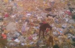 رئيس مدينة المحلة يشكل لجنة لتسلم مصنع تدوير القمامة