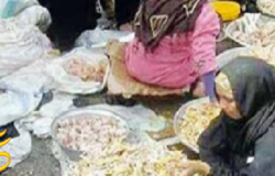بالصور : تجارة " بقايا الطعام" تتنتشر فى الأسواق الشعبية بعد " تعويم الجنيه " ...