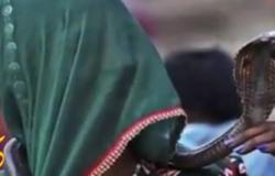 بالفيديو | فى الهند .. فتاة عشرينية تتزوج من ثعبان الكوبرا بسبب عدم هجومه عليها