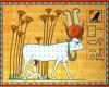 «البقرة» إلهة الخصوبة عند الفراعنة ورمز المغفرة فى الهند..وخالقة الكون فى زرادشت