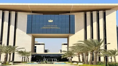 أول بيان رسمي من الخارجية بشأن وفاة ضياء العوضي